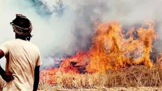 caqm-cracks-down-on-summer-farm-fires-punjab-and-haryana-directed-to-monitor-wheat-stubble-burning