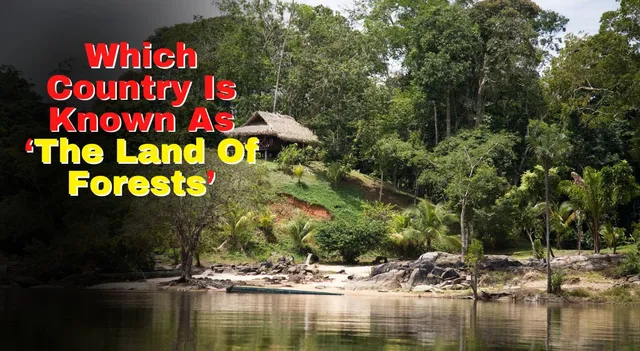 which-country-is-known-as-the-land-of-forests-know-the-reason-behind-it