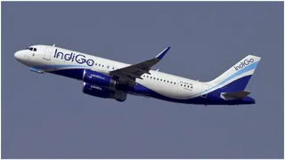 IndiGo History: Two Friends Started IndiGo Airlines With Rented Planes, Now It Is India's Biggest Air Carrier