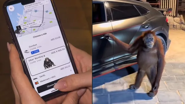 woman-books-uber-monkey-in-dubai-for-rs-1-2-lakh-for-15-minute-ride-but-is-the-viral-video-real-or-ai