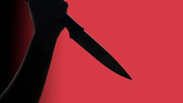delhi-crime-youth-stabbed-to-death-in-sultanpuri-while-delivering-food-to-friends-two-minors-held