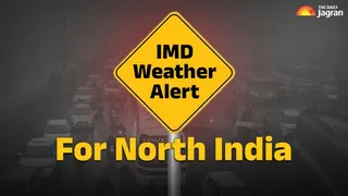 IMD Weather Update: Dense Fog Alert In North India, Cold Wave Warning For UP, Uttarakhand | Check Forecast