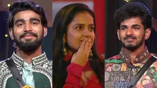 Bigg Boss Telugu 9 Grand Finale: Top 3 Confirmed; These Contestants Evicted From Nagarjuna's Show