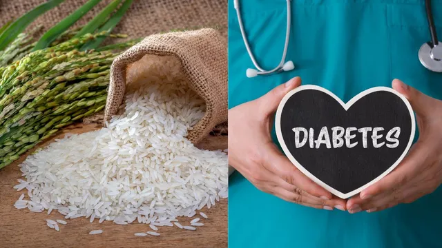 rice-isnt-raising-your-diabetes-level-doctor-reveals-the-actually-reason-behind-sugar-spikes