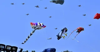Hyderabad To Host International Kite, Balloon And Drone Festivals During Sankranti| Details