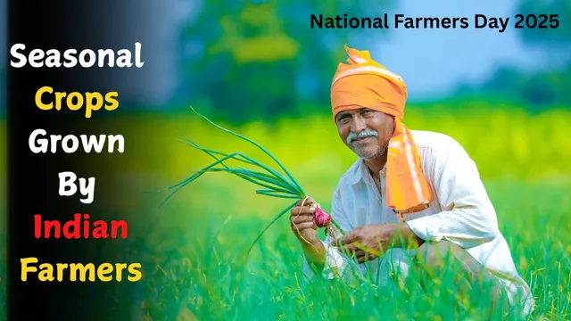 national-farmers-day-2025-seasonal-crops-grown-by-indian-farmers-and-their-major-region
