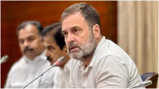 'Spewing Fakery, Propaganda': BJP Hits Back At Rahul Gandhi's 'Attack On Democratic System' Remark In Germany