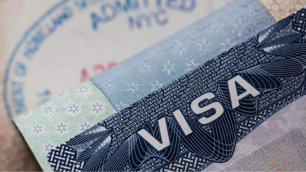 US Embassy Flags Rising Visa Scams In India Shares Video Against Fake ...