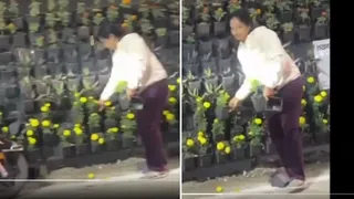 Lucknow: Flower Pots Looted From Rashtra Prerna Sthal After PM Modi's Visit; Watch Video Viral