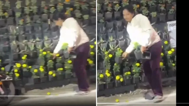 lucknow-flower-pots-looted-from-rashtra-prerna-sthal-after-pm-modis-visit-watch-video-viral