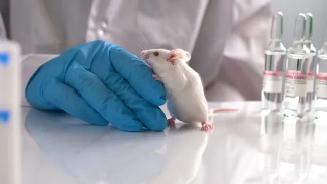 chinas-shenzhou-21-space-mouse-delivers-healthy-pups-after-earth-return-scientists-call-it-milestone