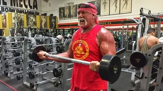 Year Ender 2025: From Hulk Hogan To Fauja Singh, Taking A Look At Sporting Stars Who Died This Year