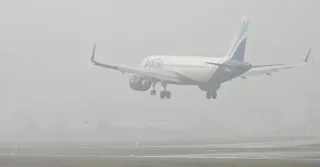 Flight Status Delhi Airport: 118 Flights Cancelled, 16 Diverted As Fog Slows Operations At IGI Airport; Advisory Issued