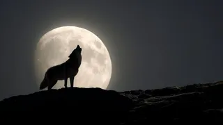 January Wolf Supermoon: See The Year’s Most Spectacular Moon Before A Multi-Year Gap
