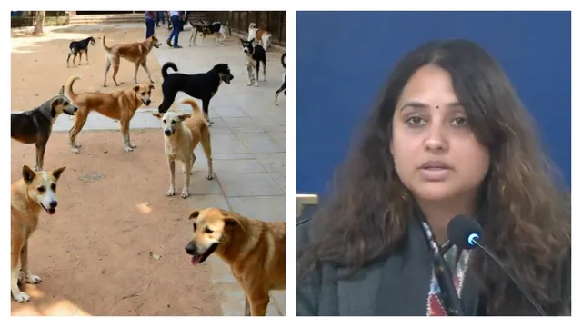 are-teachers-assigned-to-count-stray-dogs-in-delhi-govt-big-no-after-aaps-allegation-police-case-filed