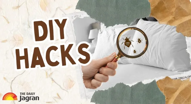 easy-diy-hacks-to-keep-bugs-out-of-your-home-when-you-are-away-on-holiday