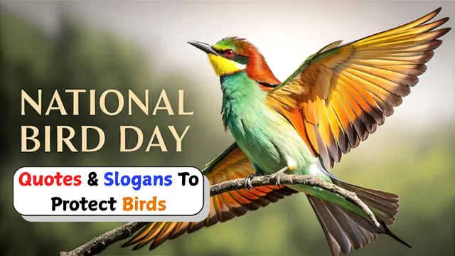 save-birds-save-nature-50-inspiring-quotes-and-slogans-on-national-bird-day-2026