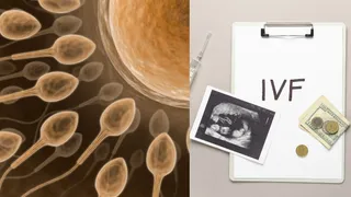 male-infertility-and-ivf-failure-doctor-explains-the-sperm-quality-issue-that-no-one-talks-about