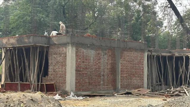meerut-news-hastinapur-wildlife-rescue-centre-to-open-by-april-2026-shelter-for-tigers-leopards