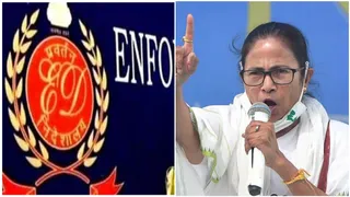 'Intruded, Snatched Away Documents': ED After Mamata Rushes To I-PAC Chief's House In High-Voltage Raid Drama