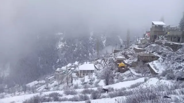 himachal-weather-cold-wave-peaks-in-state-dense-fog-alert-issued-till-january-10-forecast