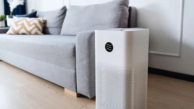 delhi-air-quality-crisis-centre-rejects-gst-reduction-on-air-purifiers-despite-high-courts-concerns