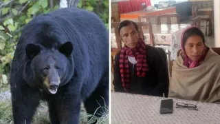 ankita-bhandari-parents-narrowly-escape-bear-attack-while-returning-from-cm-dhami-house-after-meet