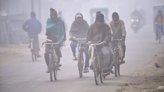 haryana-weather-yellow-alert-for-cold-wave-dense-fog-imd-urges-farmers-to-avoid-early-morning-irrigation-forecast