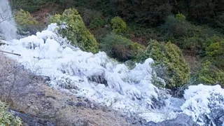 Chakrata Shivers At -3°C: No Snowfall, Severe Frost Freezes Pipelines; Apple Orchards Damaged