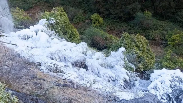 chakrata-shivers-at-minus-3-degree-celcius-no-snowfall-severe-frost-freezes-pipelines-apple-orchards-damaged
