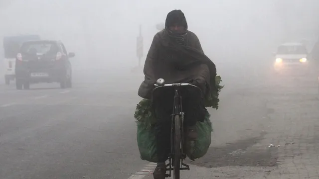 delhi-records-coldest-january-morning-in-2-years-with-4-degrees-imd-issues-alarming-cold-wave-alert-till-january-12-check-forecast