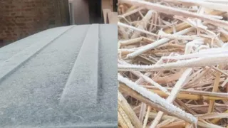 Jharkhand: McCluskieganj Freezes At -2°C, Colder Than Shimla; Met Dept Forecasts Jan 12-13 Likely Coldest Days