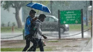 Chennai Weather Today: Yellow Alert Of Heavy Rainfall Issued Due To Depression; Check Detailed Tamil Nadu Forecast