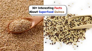 Quinoa Day 2026: 30+ Interesting Facts About This Nutritious Superfood- History, Origin Health Benefits, And More