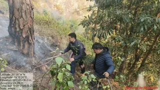 Uttarakhand News: Forest Fire Continues In Valley Of Flowers For Third Day, Steep Terrain Hampers Operations