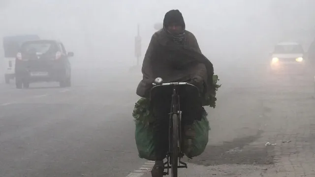 weather-update-north-india-shivers-as-cold-wave-tightens-grip-dense-fog-to-persist-in-delhi-up-heavy-rain-in-tamil-nadu