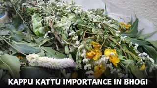 Bhogi 2026: What Is The Significance Of Tying Kappu Kattu Or Neem Leaves At The Entrance On Bhogi Pandigai?