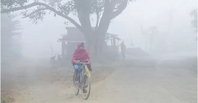bihar-weather-imd-warns-of-dense-fog-cold-day-conditions-in-17-northern-districts-patna-gets-brief-relief-check-forecast