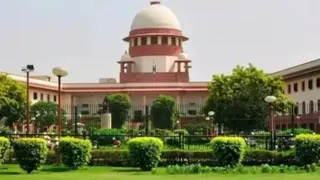 Supreme Court Orders States To Pay Compensation For Stray Dog Bites; Slams Feeders