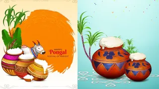 Happy Pongal 2026 Video Status: Short Videos And HD Images To Share Wishes On WhatsApp, Facebook And Instagram