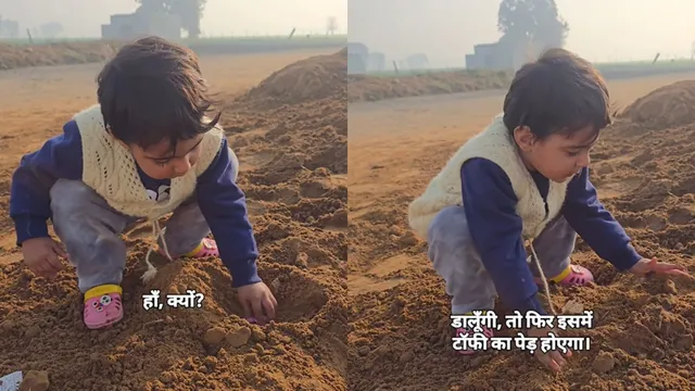 little-girl-plants-toffee-hoping-to-grow-toffee-ka-pedh-adorable-video-sparks-childhood-memories-online