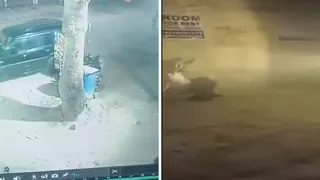 Gurugram Road Rage: Scorpio Driver Deliberately Runs Over Delivery Boy After Reckless Driving Spat; Caught On Camera