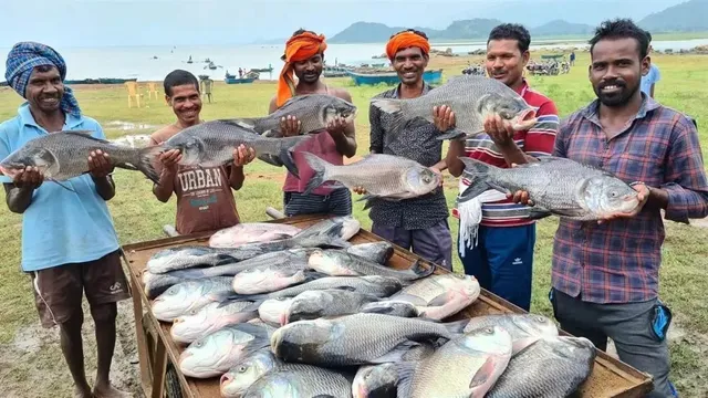 bihar-govt-fisheries-scheme-70-subsidy-for-sc-st-and-ebc-farmers-on-pond-construction-apply-now