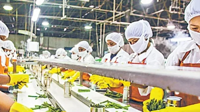 noida-international-airport-to-power-agri-exports-with-new-innova-food-park-30-acres-allocated-in-yeida-sector-24a