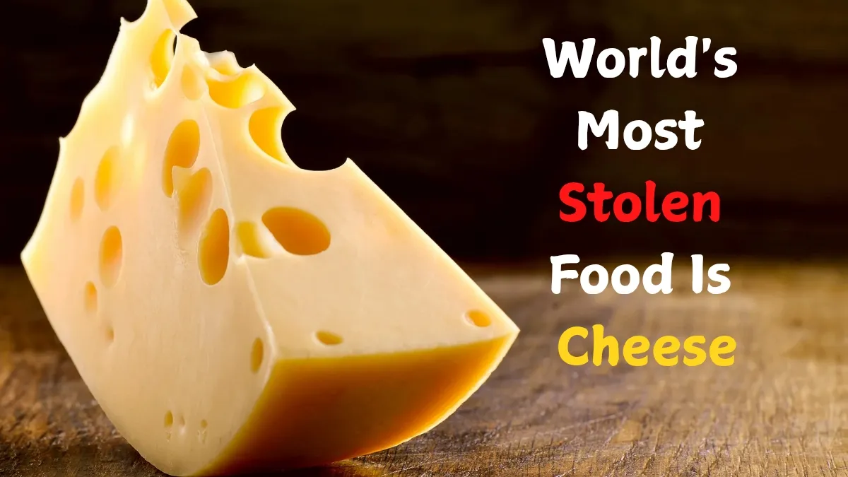 Do You Know The Most Stolen Food Worldwide Surprising Fun Fact You ...