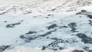 Delhi Water Crisis: Supply Hit In South, Central And North Delhi Due To Ammonia Spike; Check Full List Of Affected Areas