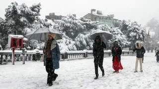 Weather Update: Season's First Snowfall In Himachal To Bring Chills In Plains; IMD Issues Cold Wave Alert For UP, Bihar