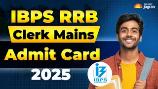 IBPS RRB Clerk Mains Admit Card 2025: RRB Office Assistant Hall Ticket Out At ibps.in, Download Link Here