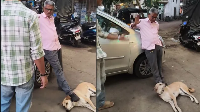i-feed-him-i-can-do-anything-man-keeps-his-foot-on-pet-dogs-neck-in-public-video-leaves-viewers-deeply-disturbed