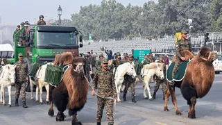Republic Day 2026: 77th Republic Day Parade To Feature Animal Contingent, Showcasing Indian Army's Deep Bond With Service Animals